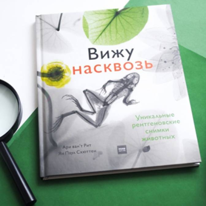 Путешествие с племенем Зипполи, научные комиксы и другие новинки МИФа