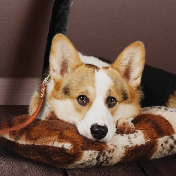 Что почитать в одиночестве?