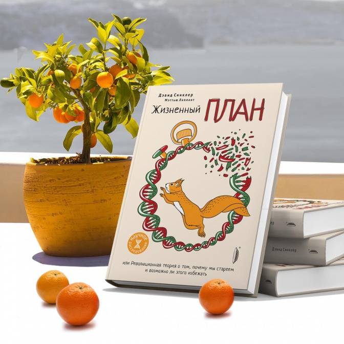 «Жизненный план» и другие важные премьеры «Портала»