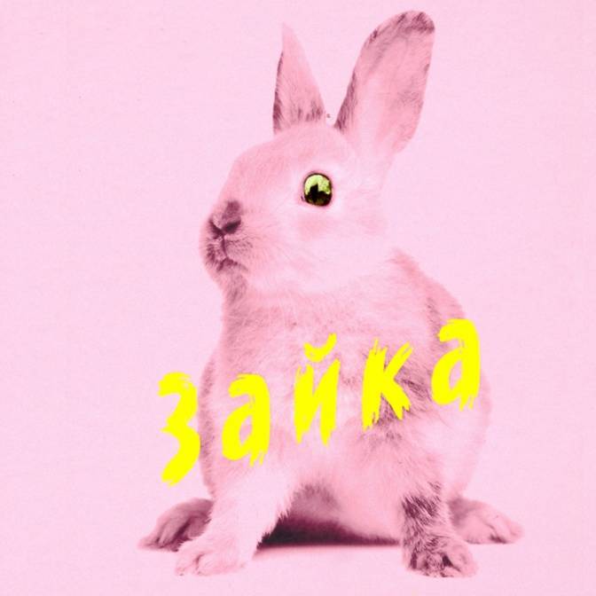 Слово переводчику. Мария Чайковская: «„Зайка“ — редкая возможность заглянуть в девичий мир»