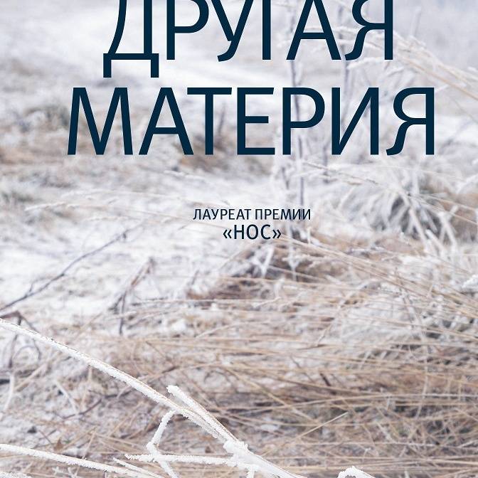 Другая материя прозы Аллы Горбуновой. О новой книге лауреата премии «Нос»