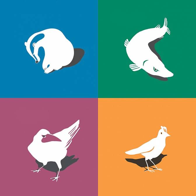 Барсук, щука, грач и жаворонок. Интервью с Энтони Макгоуэном