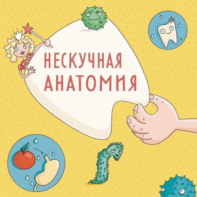 «Тело, в котором ты живешь» — нескучная анатомия для детей