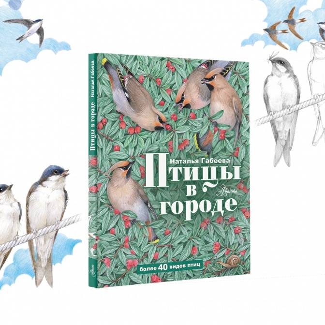 «Птицы — это хрупкое звено, которое связывает нас с природой». Интервью с Натальей Габеевой
