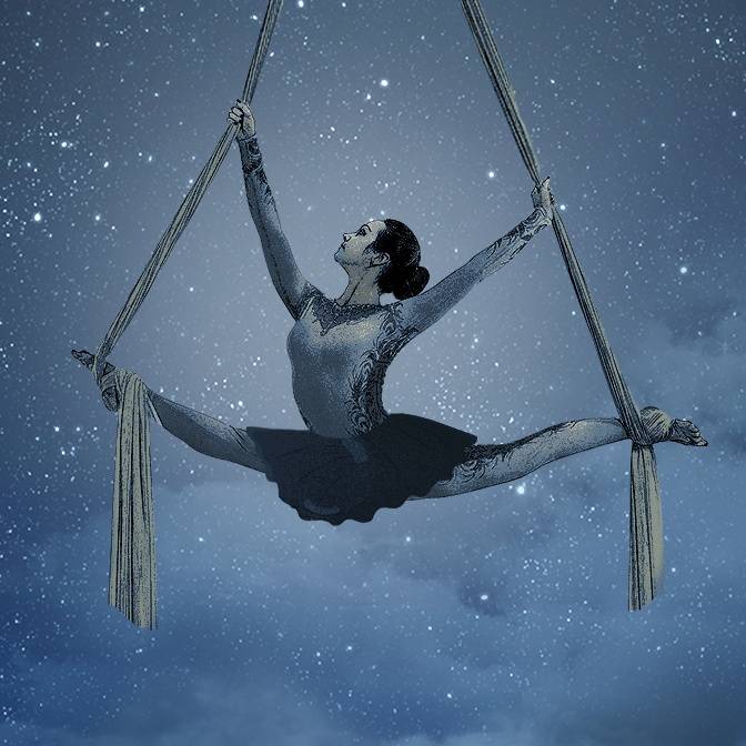 Дамы тайного цирка. Темный карнавал и семейная драма