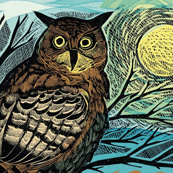 Эволюция, архитектура, ДНК. Детский нонфикшн на языке оригинала