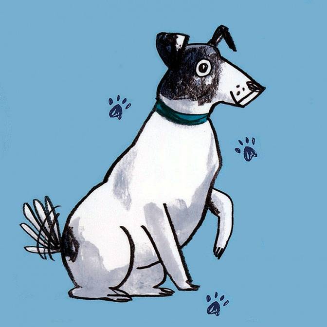 Частные школы, преступления, феи, собаки: творчество Энид Блайтон