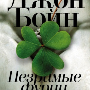 «Незримые фурии сердца». Бойн без правил