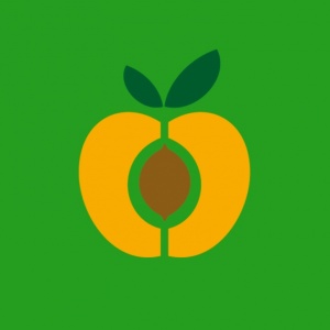 абрикобукс логотип. детские книги издательства абрикобукс. издательство абрикобус. абрикобукс логотип. абрикобукс логотип.