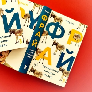 История мести в современную эпоху. О книге «Теннисные мячики небес» Стивена Фрая
