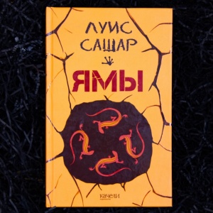 Рецензия на книгу «Ямы»