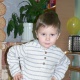 Аркадий Донцов
