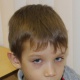 Минеев Никита