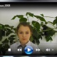 Кузнецова Алина