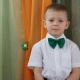 Панасенков Саша