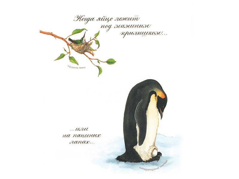 Книга: "Яйцо любит тишину" - Дианна Астон. Купить книгу, читать ...