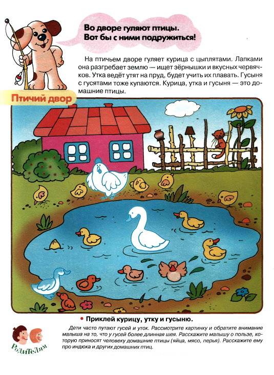 Иллюстрация 12 из 16 для Домашние животные. Первые уроки 3+ - Софья Буланова | Лабиринт - книги. Источник: Спанч Боб