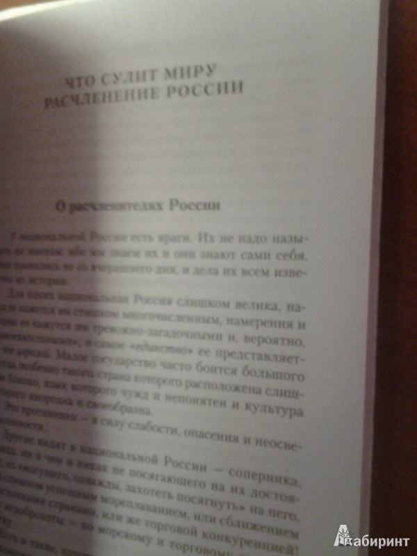 Иллюстрация 7 из 32 для О русском национализме. Сборник статей - Иван Ильин | Лабиринт - книги. Источник: Де Шамп  Лавье Владиславович