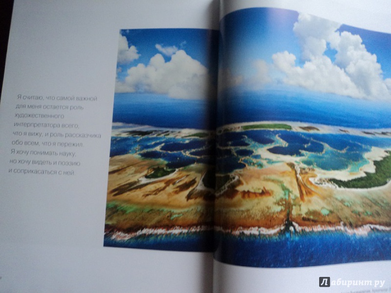 Иллюстрация 27 из 40 для Душа океана - Брайан Скерри | Лабиринт - книги. Источник: Miss congeniality