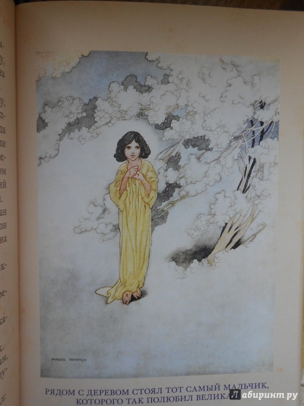 Иллюстрация 52 из 111 для Счастливый принц и другие сказки - Оскар Уайльд | Лабиринт - книги. Источник: LeoLena