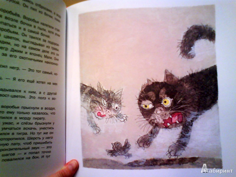 Иллюстрация 5 из 37 для Шамайка - королева кошек - Юрий Коваль | Лабиринт - книги. Источник: Мила