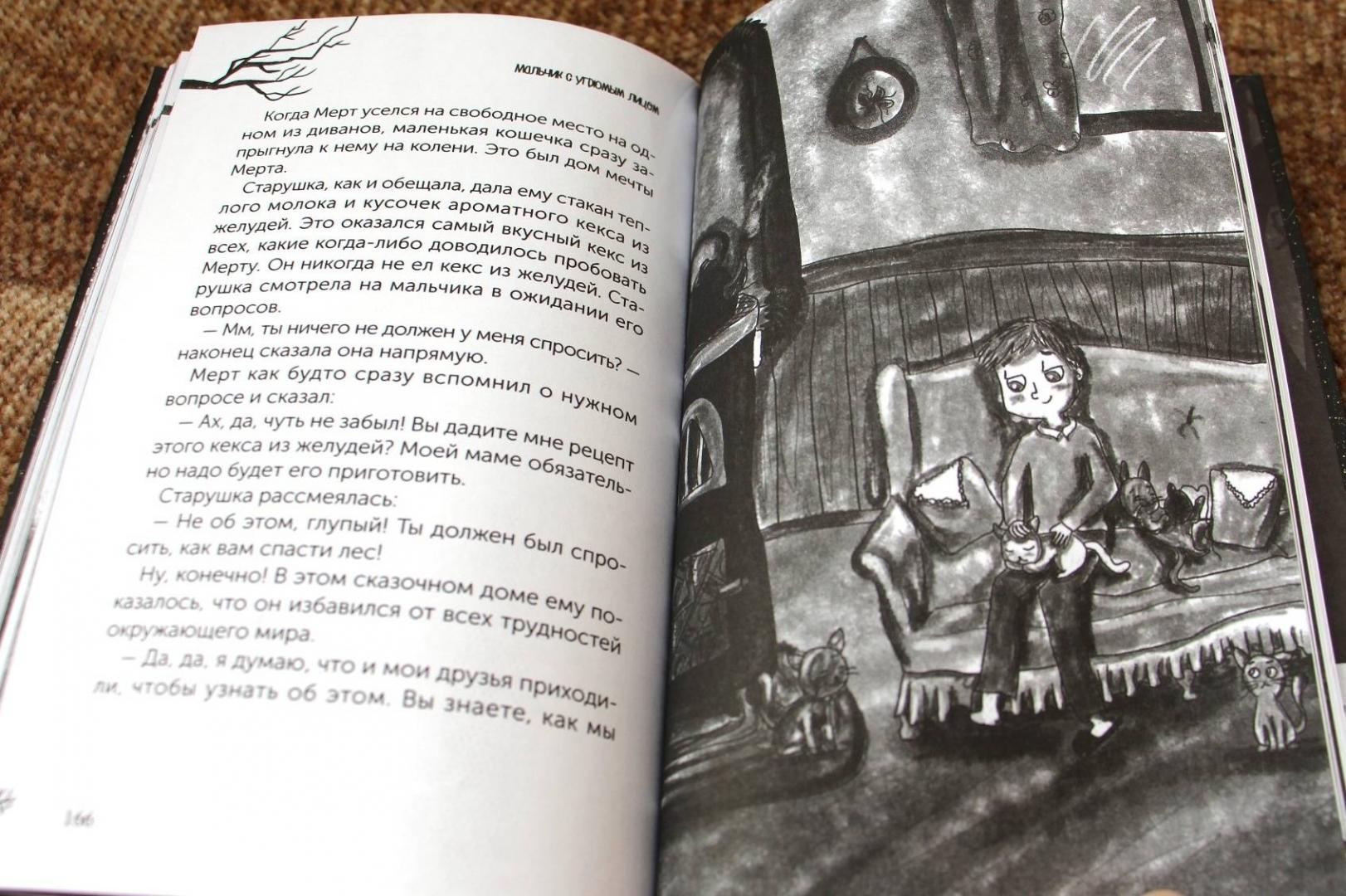 Иллюстрация 19 из 27 для Мальчик с угрюмым лицом, или Необычайная лесная история - Нур Домбайджи | Лабиринт - книги. Источник: Мама-Почитайка