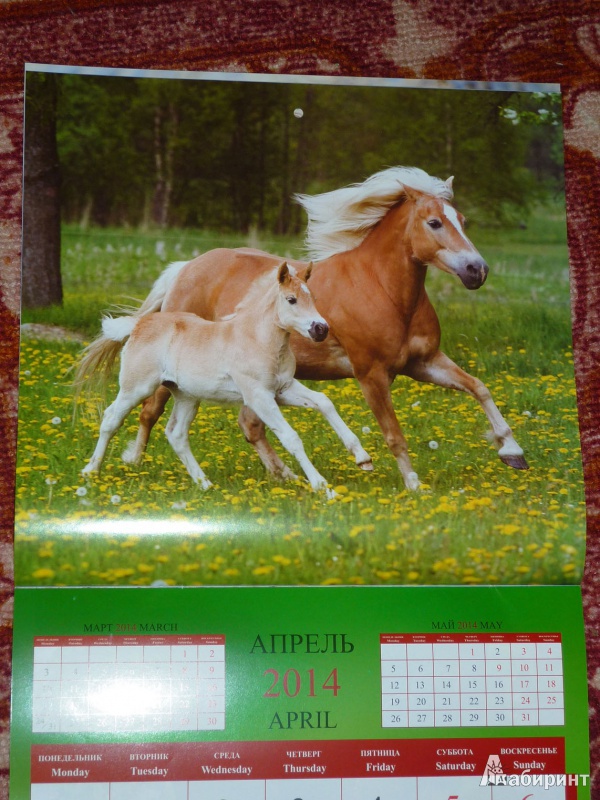 Иллюстрация 7 из 16 для Календарь 2014 "Год лошади" | Лабиринт - сувениры. Источник: Шубина  Диана Владимировна