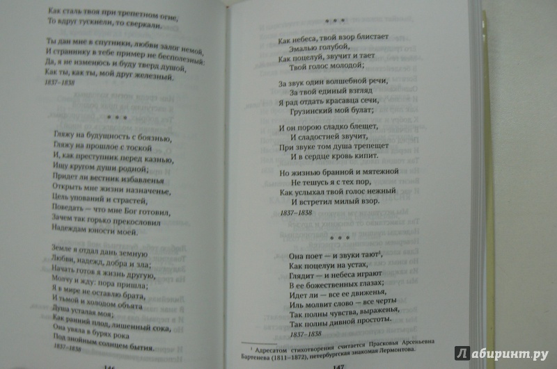 Иллюстрация 18 из 21 для Стихотворения и поэмы - Михаил Лермонтов | Лабиринт - книги. Источник: Марина