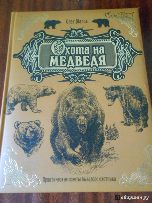 Иллюстрация 16 из 43 для Охота на медведя - Олег Малов | Лабиринт - книги. Источник: Леан