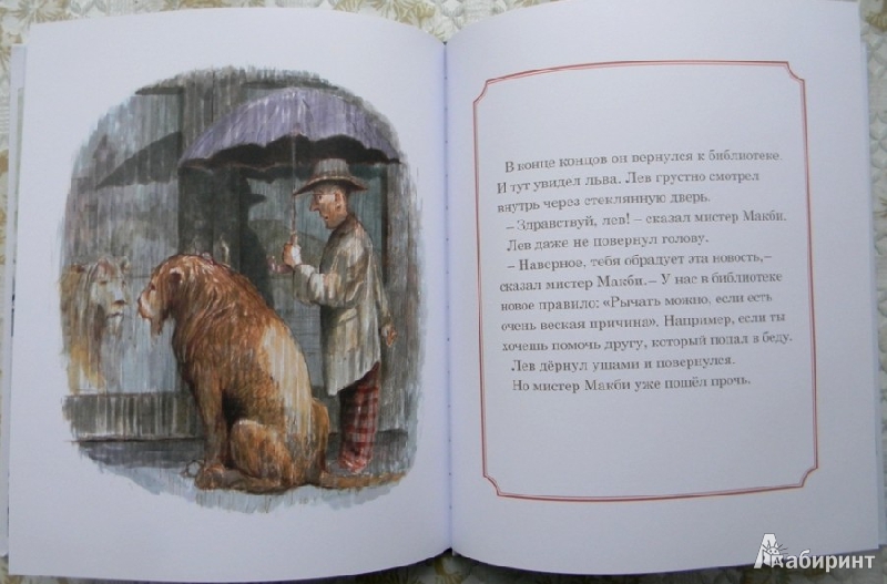 Иллюстрация 27 из 39 для Лев в библиотеке - Мишель Кнудсен | Лабиринт - книги. Источник: Раскова  Юлия