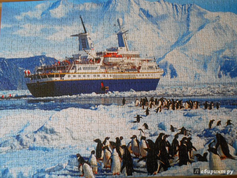 Иллюстрация 4 из 7 для Puzzle-1000. "Пингвины и корабль" (КБ1000-6895) | Лабиринт - игрушки. Источник: Леан