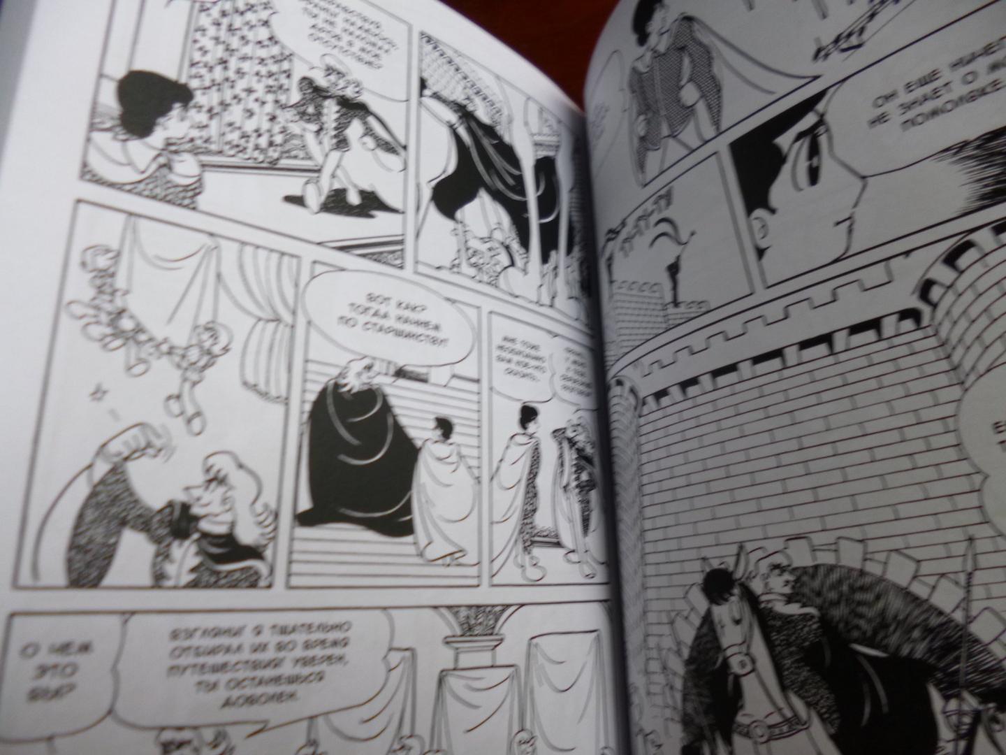 Иллюстрация 9 из 38 для Принцесса-рыцарь. Том 3 - Осаму Тэдзука | Лабиринт - книги. Источник: Лабиринт