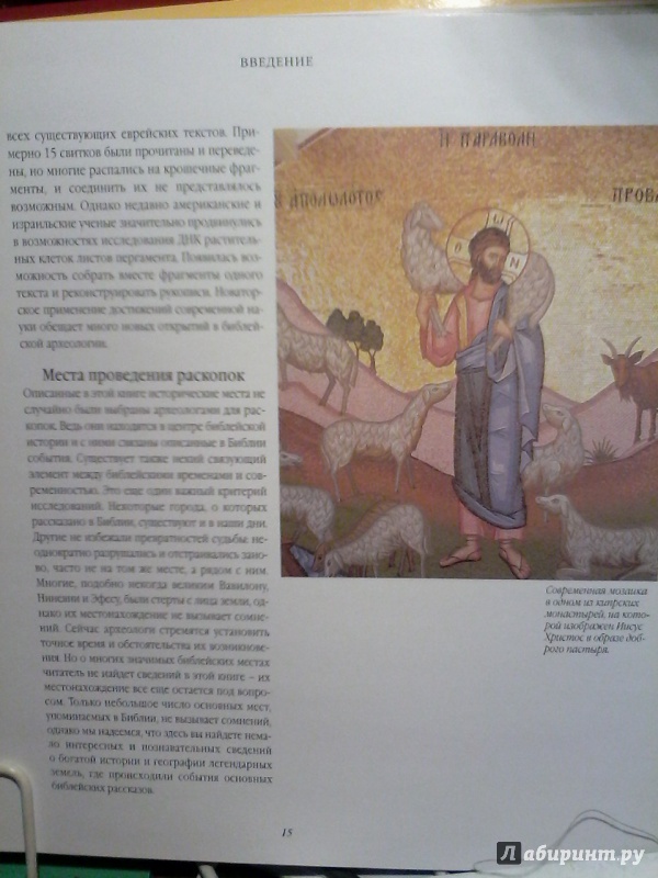 Иллюстрация 34 из 53 для Библейские земли - Дженни Робертс | Лабиринт - книги. Источник: sveta.neuymina