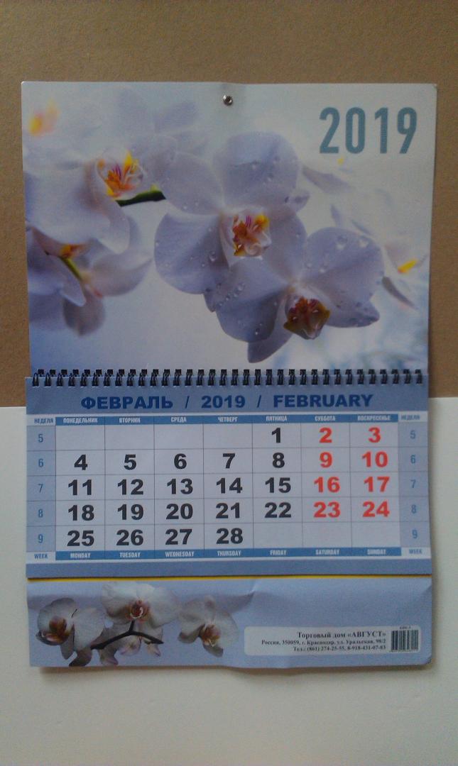 Иллюстрация 5 из 7 для Календарь квартальный на 2019 год "Белая орхидея" (КВК-3) | Лабиринт - сувениры. Источник: ss0263042
