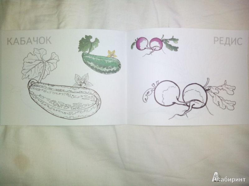 Иллюстрация 4 из 10 для Овощи | Лабиринт - книги. Источник: Харченко  Ольга