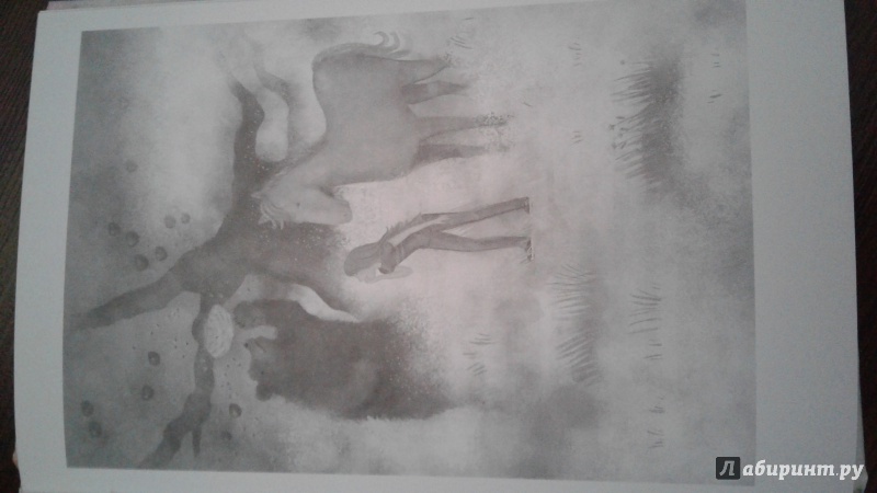 Иллюстрация 36 из 39 для Сюрприз из тумана - Кики Торп | Лабиринт - книги. Источник: Юлия  Юлия