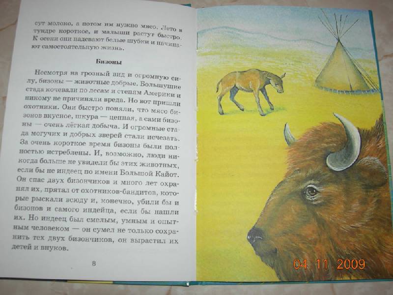 Иллюстрация 5 из 12 для Звери и зверята - Юрий Дмитриев | Лабиринт - книги. Источник: Соловей