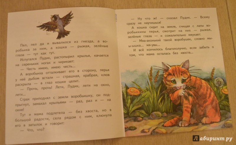 Иллюстрация 9 из 14 для Воробьишко - Максим Горький | Лабиринт - книги. Источник: QZX