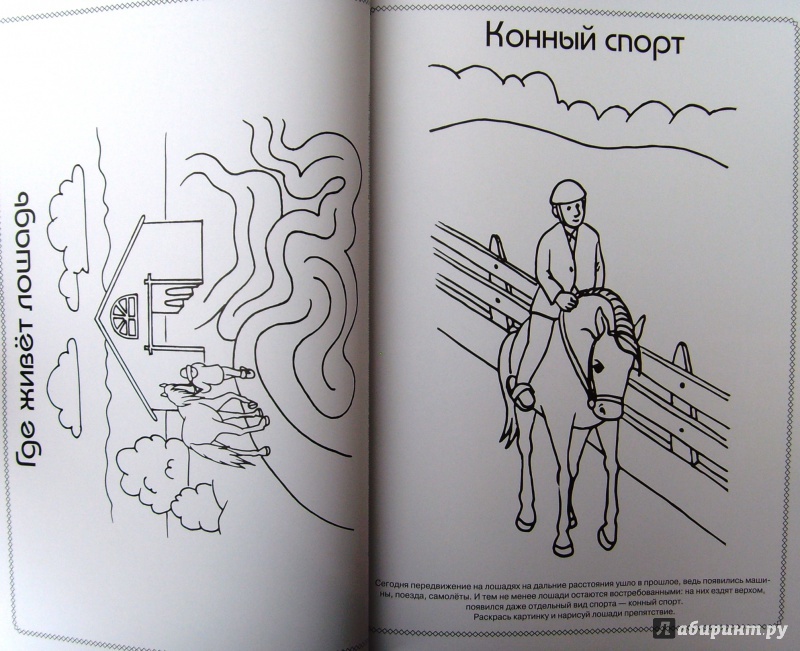 Иллюстрация 16 из 22 для Лошади - Анна Торманова | Лабиринт - книги. Источник: Соловьев  Владимир