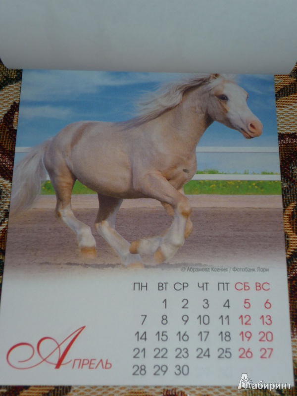 Иллюстрация 6 из 12 для Календарь на магните на 2014 год "Год лошади" | Лабиринт - сувениры. Источник: Шубина  Диана Владимировна