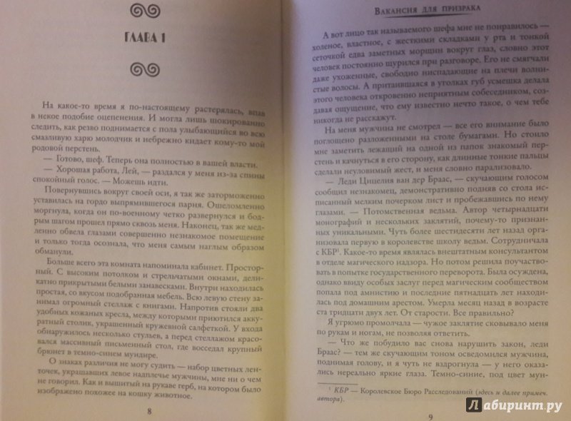 Иллюстрация 18 из 30 для Вакансия для призрака - Александра Лисина | Лабиринт - книги. Источник: Katty