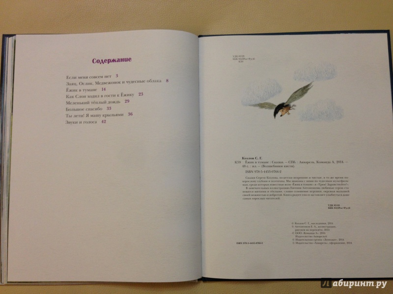 Иллюстрация 31 из 51 для Ёжик в тумане - Сергей Козлов | Лабиринт - книги. Источник: antonnnn