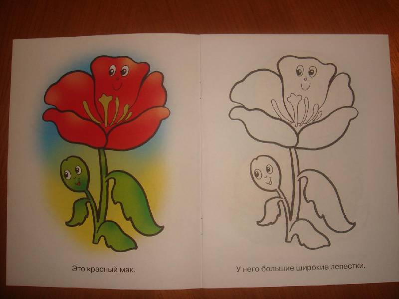 Иллюстрация 11 из 15 для Раскраска для малышей: Цветы. Синеглазый василек | Лабиринт - книги. Источник: Эмильсен