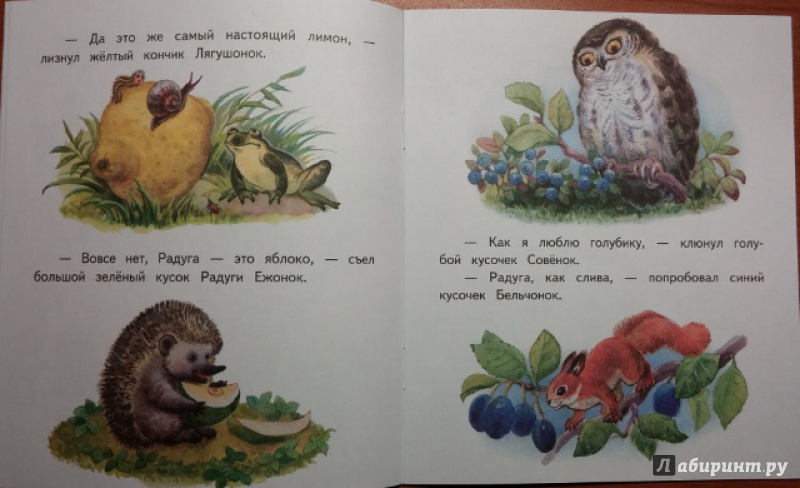 Иллюстрация 8 из 30 для Вкусная радуга - Елена Ермолова | Лабиринт - книги. Источник: Мама Анюты