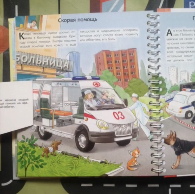 Иллюстрация 27 из 28 для Такие разные автомобили - Ирина Рожнова | Лабиринт - книги. Источник: Зуева  Анастасия