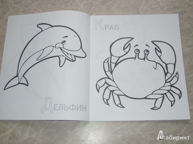 Иллюстрация 5 из 14 для Забавные морские животные | Лабиринт - книги. Источник: Iwolga