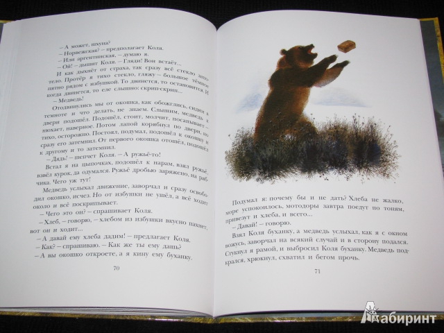 Иллюстрация 27 из 46 для Арктур - гончий пёс - Юрий Казаков | Лабиринт - книги. Источник: Nemertona
