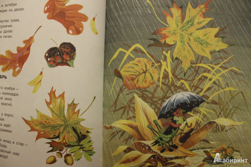 Иллюстрация 34 из 329 для Стихи и сказки для самых маленьких - Самуил Маршак | Лабиринт - книги. Источник: so-vanille