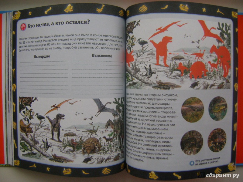Иллюстрация 41 из 48 для Динозавры - Мария Боцци | Лабиринт - книги. Источник: Саша Юрина