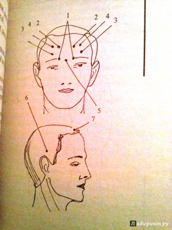 Иллюстрация 7 из 8 для Косметический массаж и самомассаж - Александра Колесникова | Лабиринт - книги. Источник: Мира  Мира